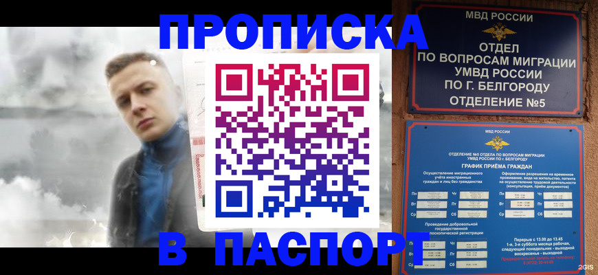 временная регистрация в Курчатове